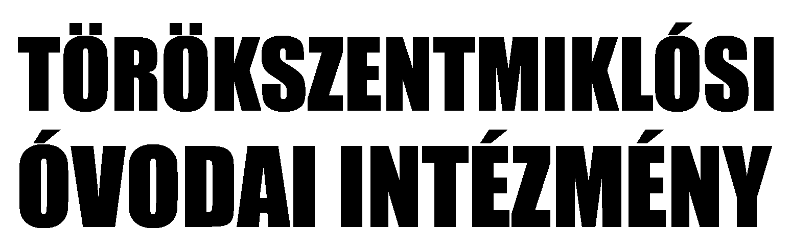 Partner 5